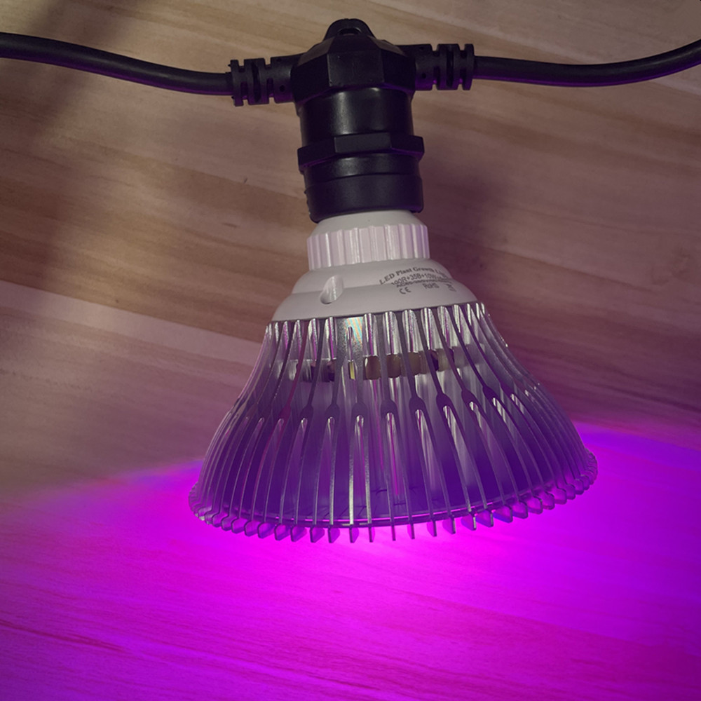 سلسلة إضاءة LED بطول 10 أمتار، - مراجعة String Light Outdoor وسعره