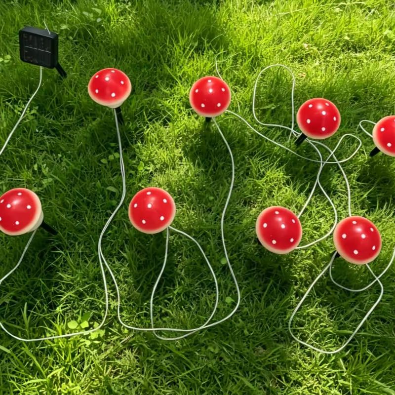 أضواء زينة شمسية على شكل فطر م - مراجعة String Light Outdoor وسعره